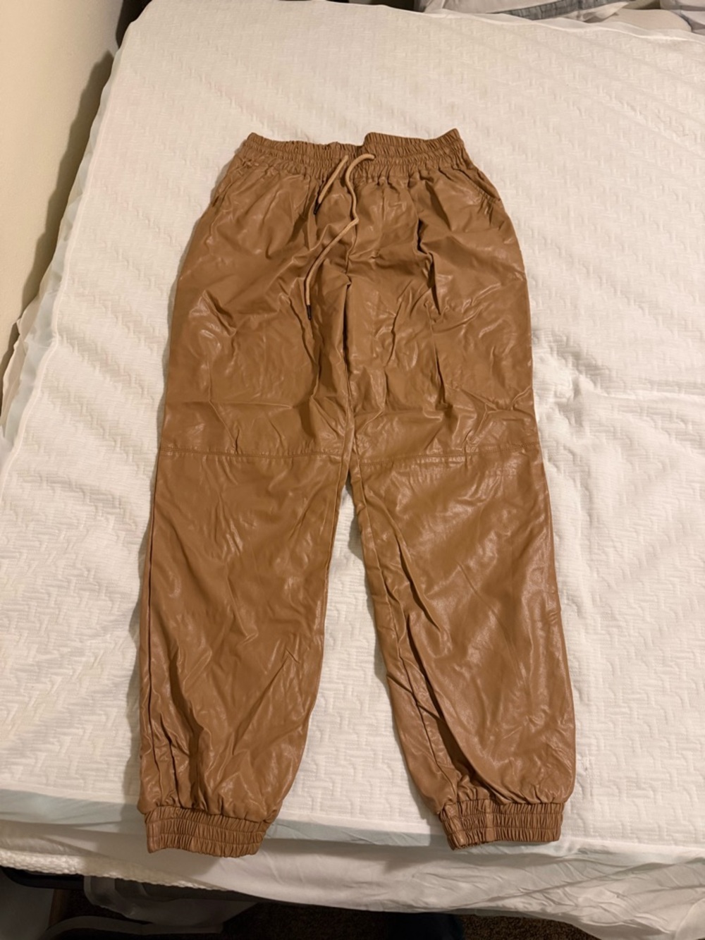 easel Faux Leather Jogger Pants in Camel